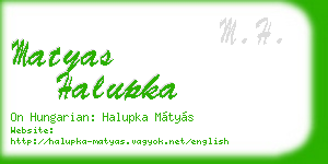 matyas halupka business card